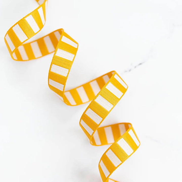 Bold Stripe Web - 1 inch