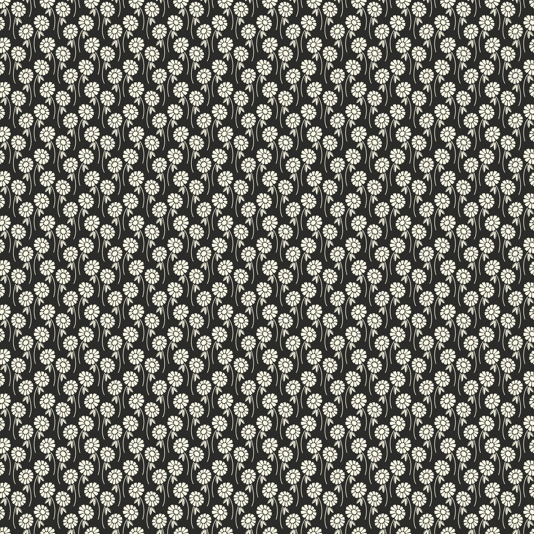 white daisy print on a black background