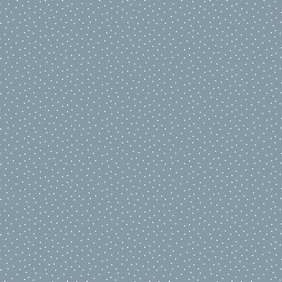Pattern of small white dots on a blue background