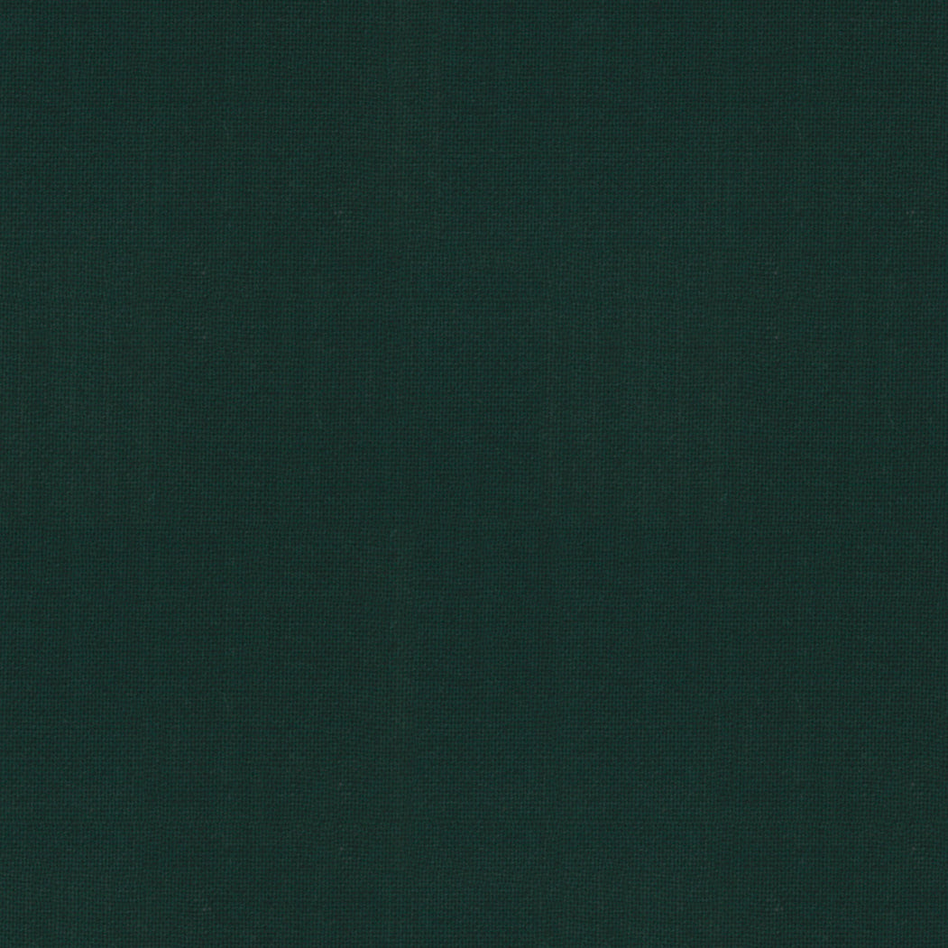 Solid dark green color swatch