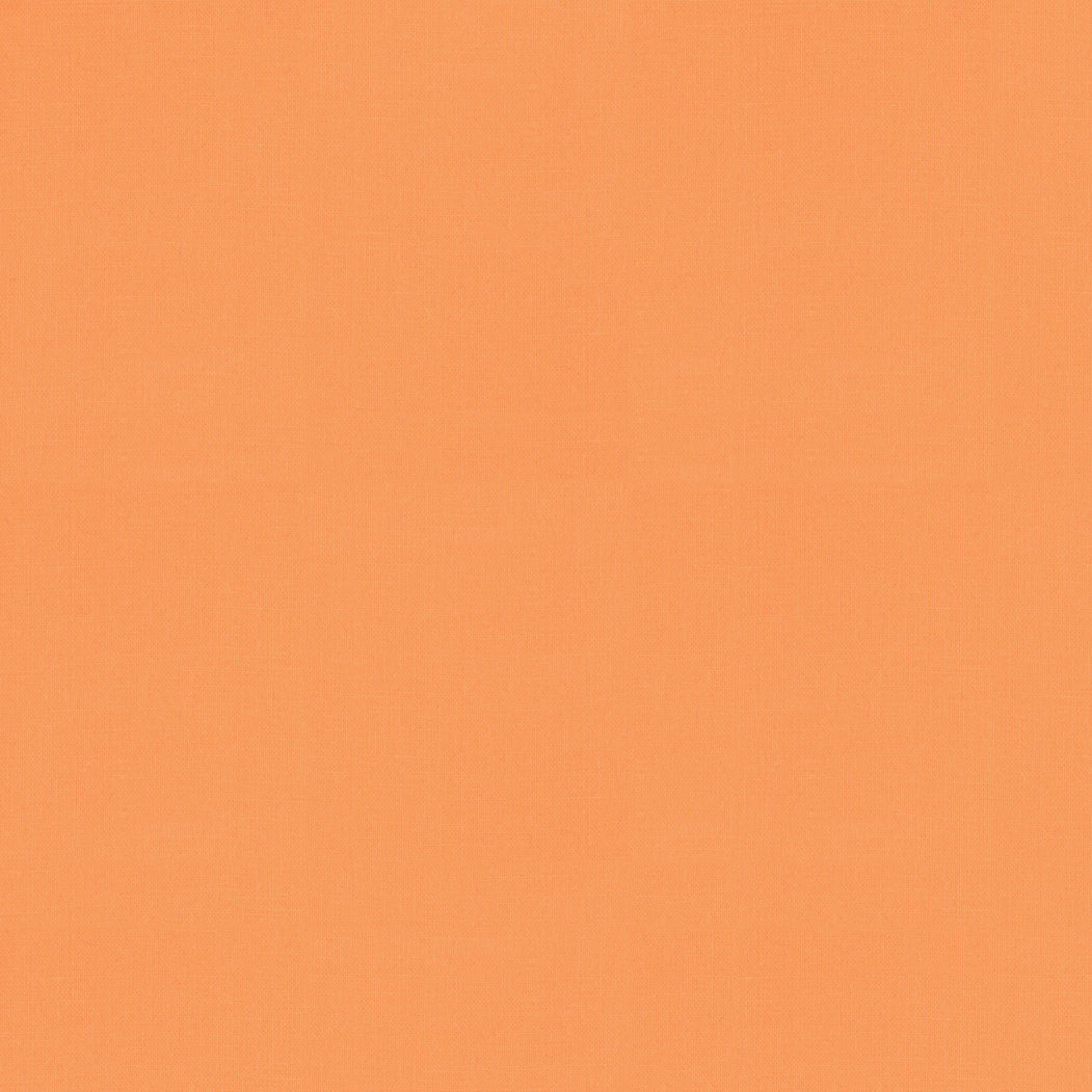 Solid orange color swatch
