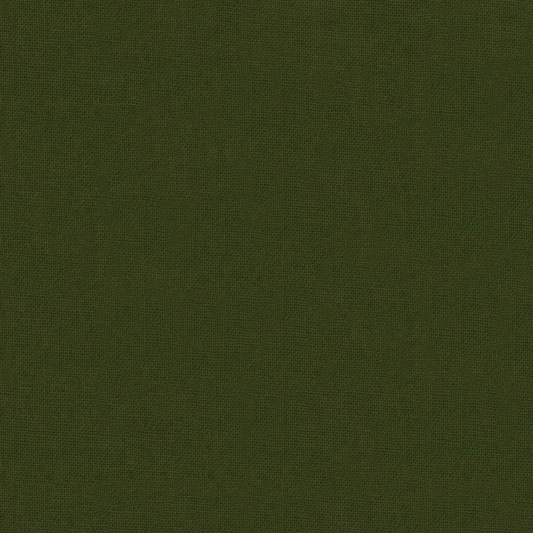 Solid dark green color swatch