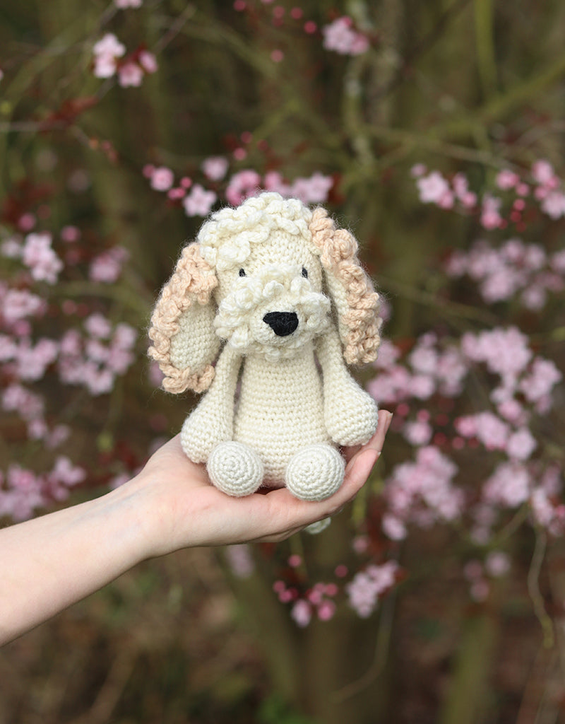 Amanda the Cockapoo posed in a woman's hand in front of pink flowers