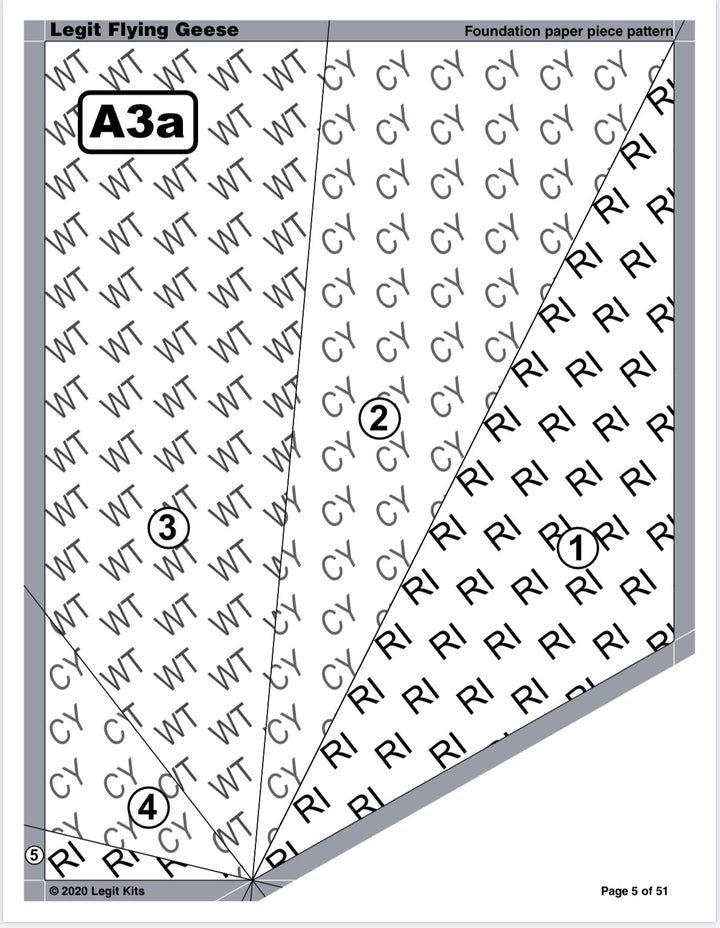 Flying Geese Quilt Kit