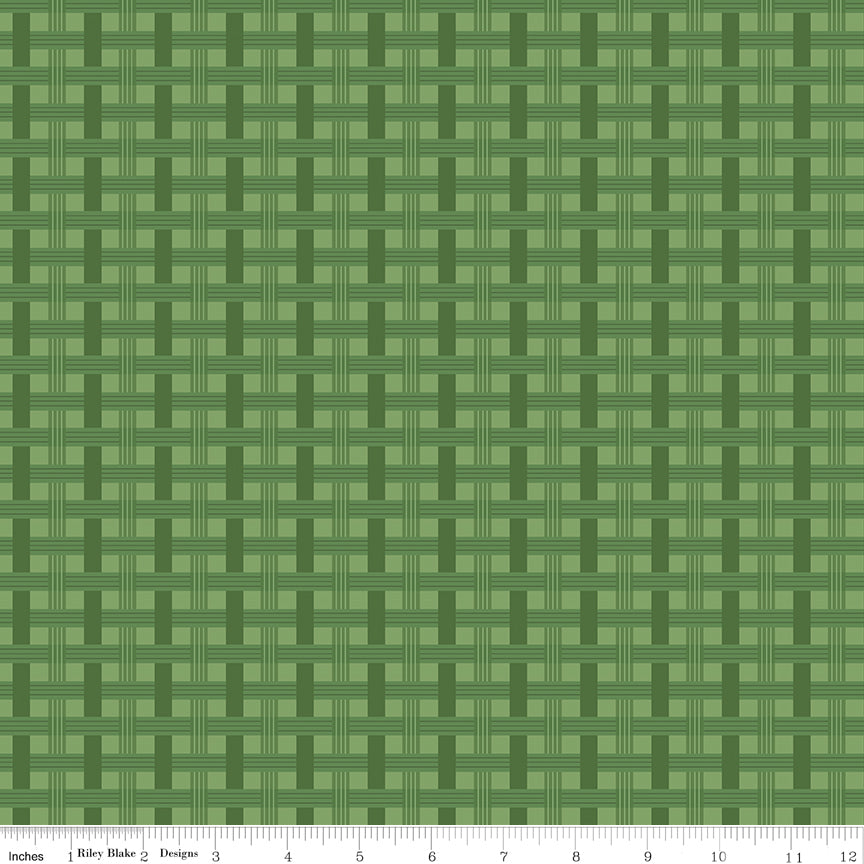 To Grandmother's House - Basket Weave Grass - C14376-GRASS