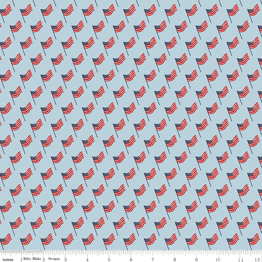 Light blue background with American flags