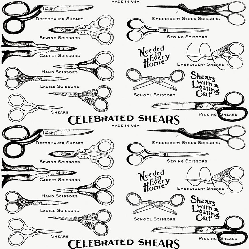 Illustration of various types of scissors with labels on a white background