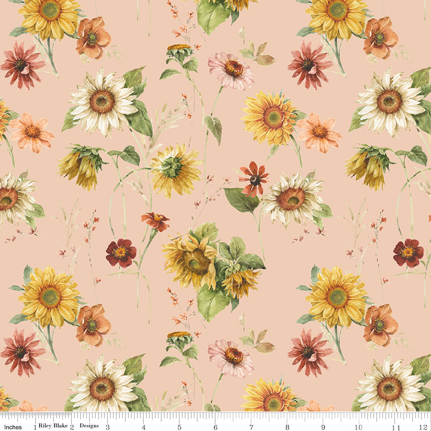 Blush background with yellow and white sunflowers