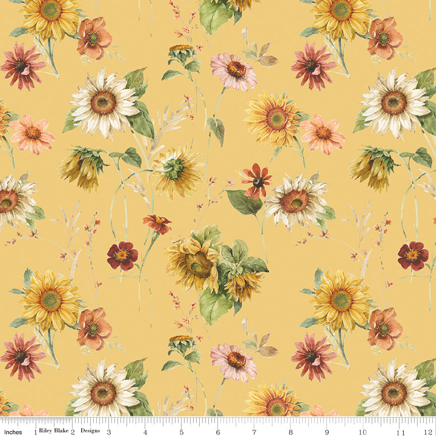 Yellow background with white and yellow sunflowers