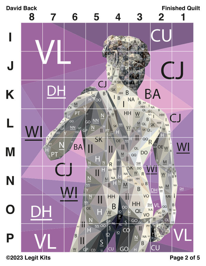 David Back Quilt Kit