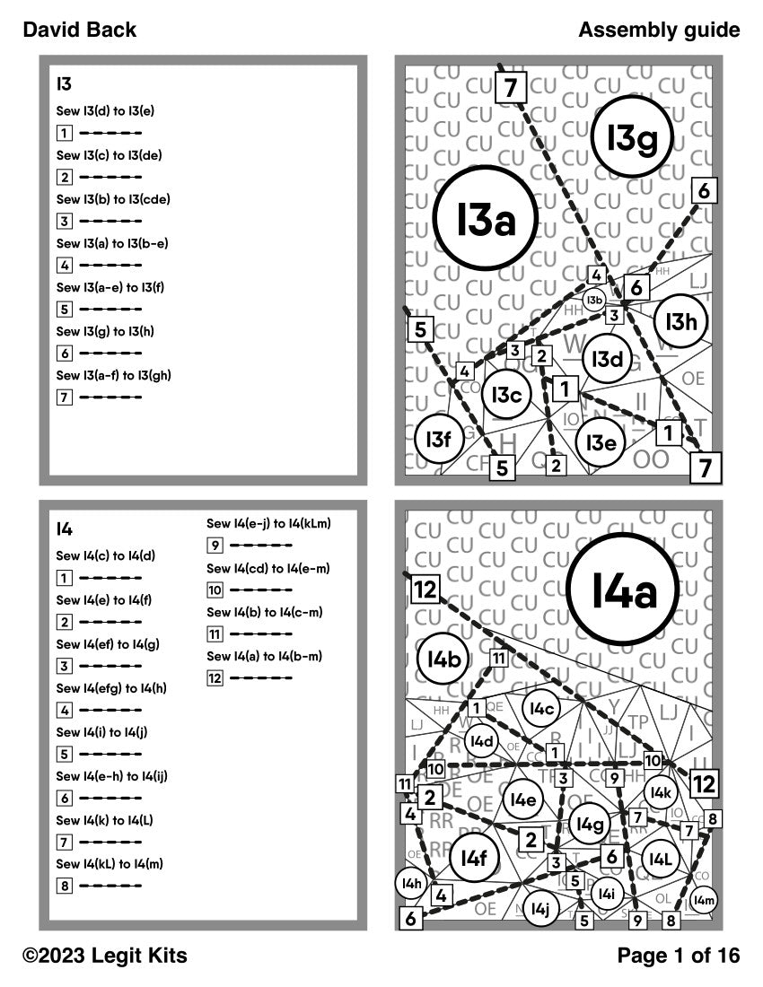 David Back Quilt Kit