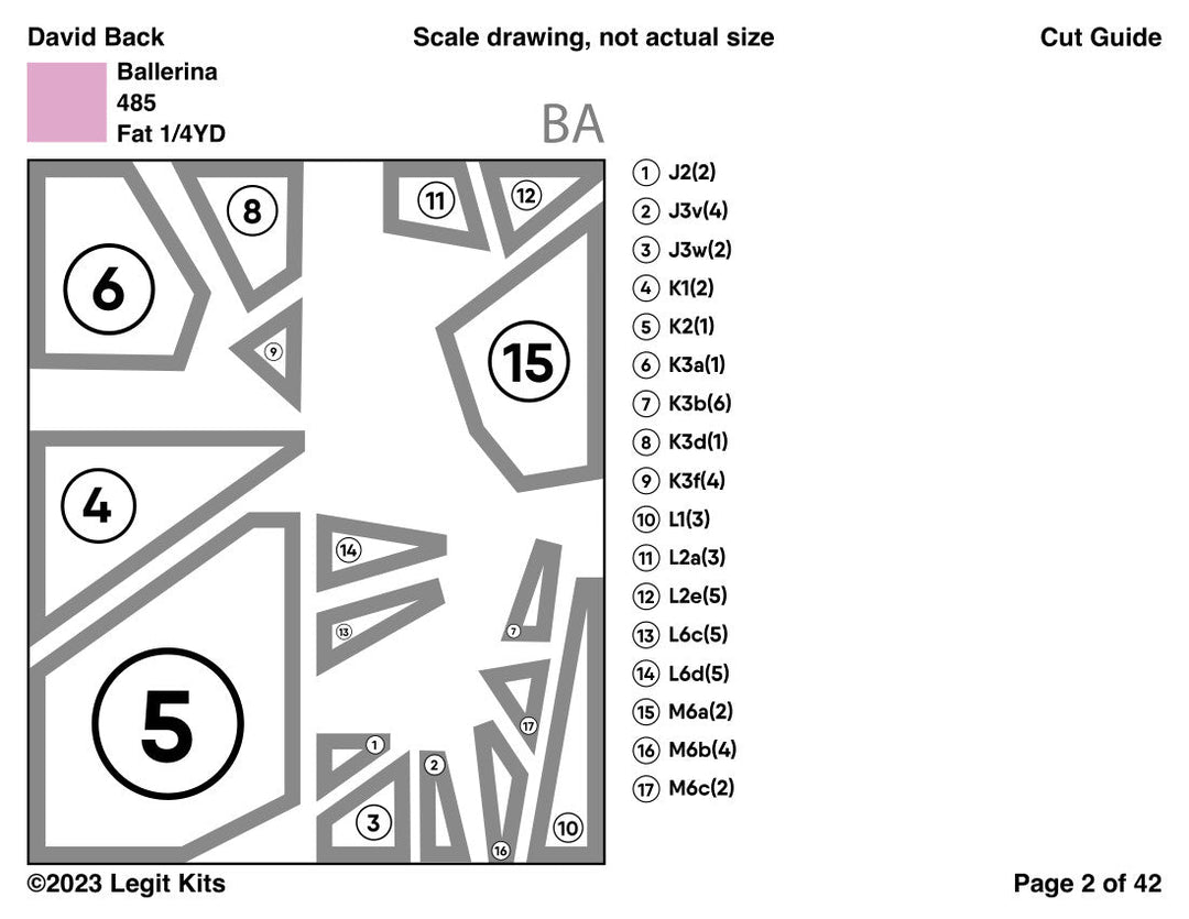 David Back Quilt Kit