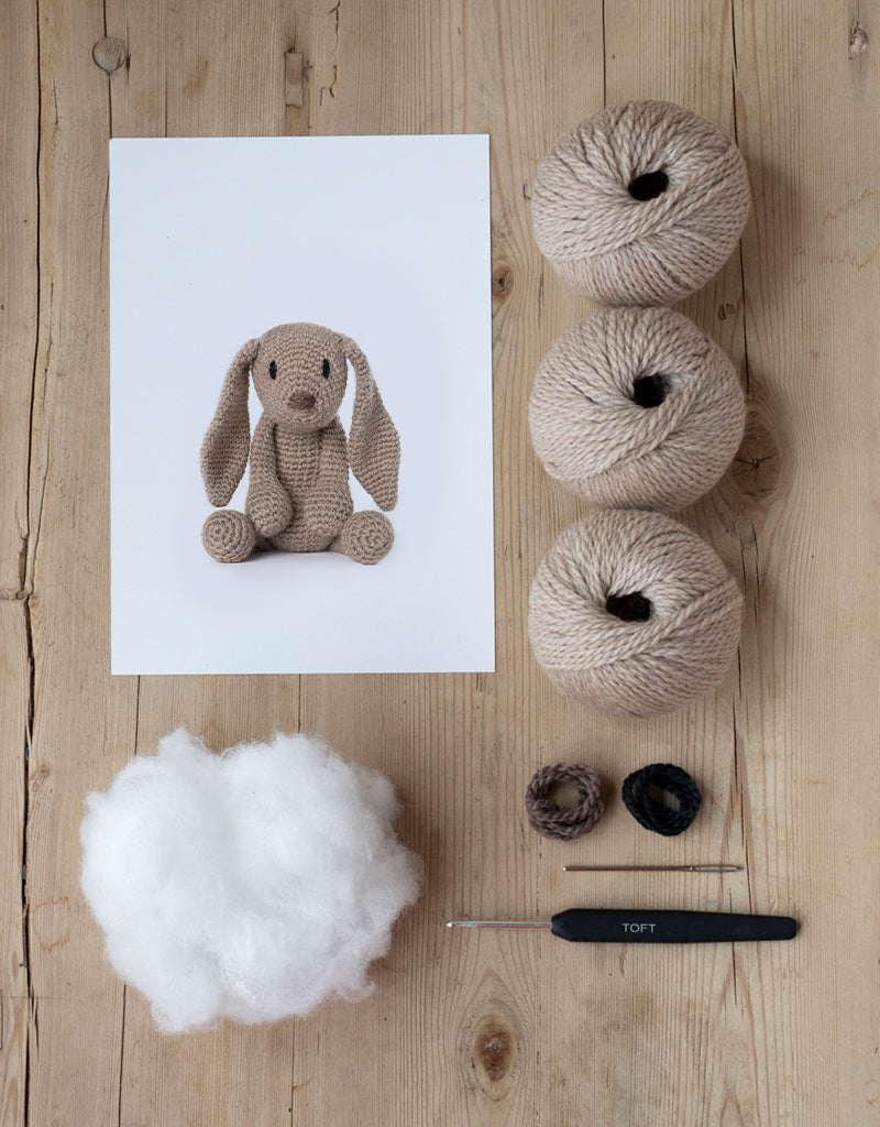 Emma the Bunny crochet kit includes yarn, stuffing, needle, and crochet hook