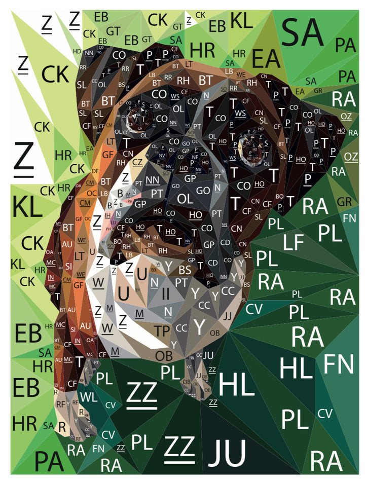 Margot the Boxer Quilt Kit