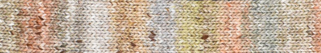 Yarn Colorway - tans, greens, browns