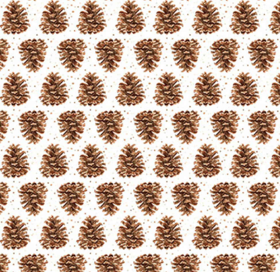 Little Ones- Pinecones- Q-453-3