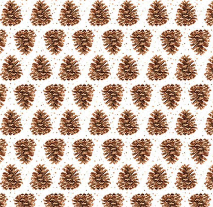 Little Ones- Pinecones- Q-453-3