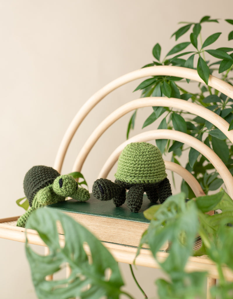 Mini Tortoises Kit (Makes 2)