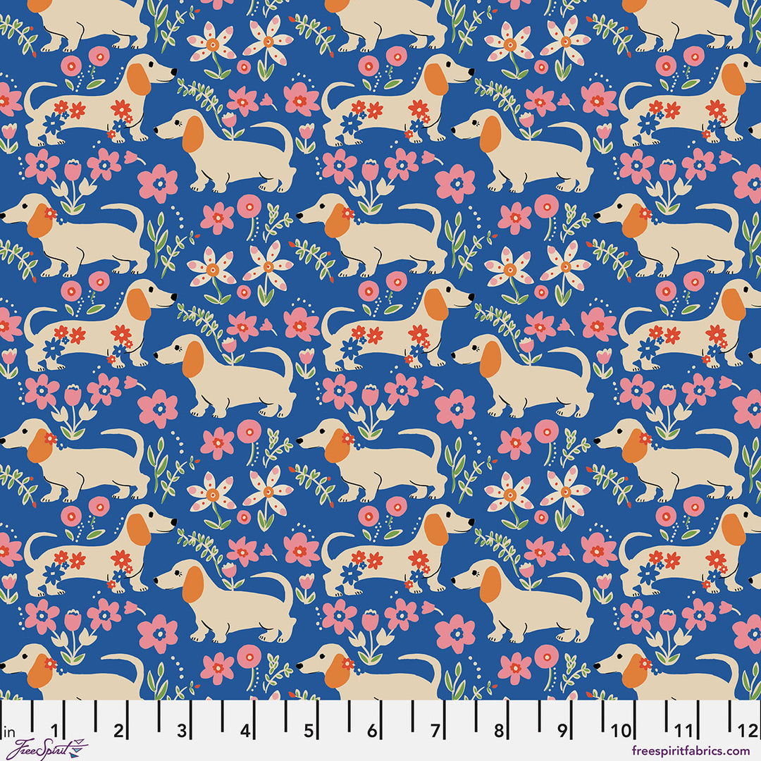 Stannie & Lloyd - Pemberley Pups - Delft - PWAE011.DELFT