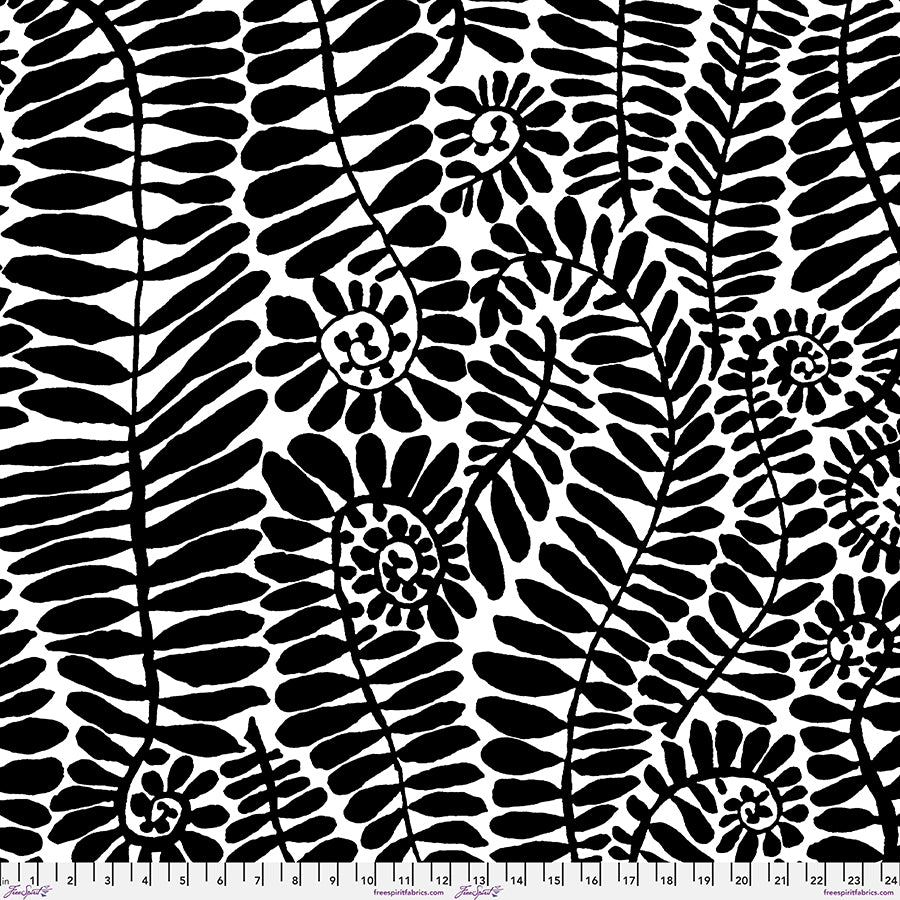 Black and white fern leaves