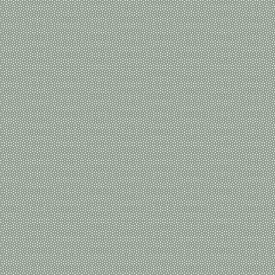 Solid light gray color swatch