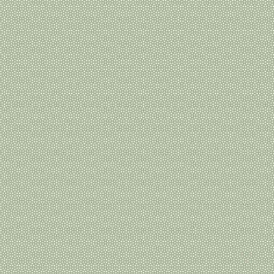 Solid light green color swatch