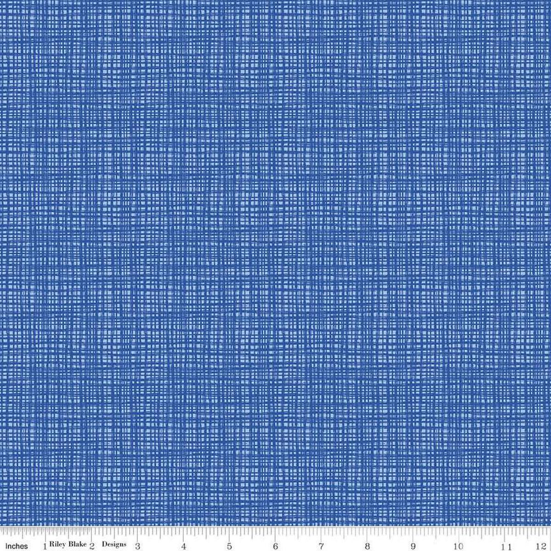 Texture in Color - Bluebird - C610-Bluebird