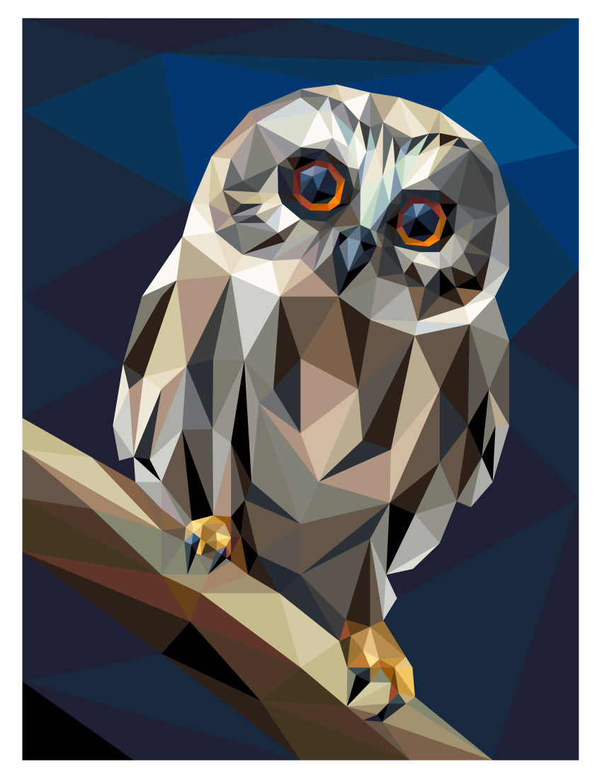 Big Hooter Quilt Kit