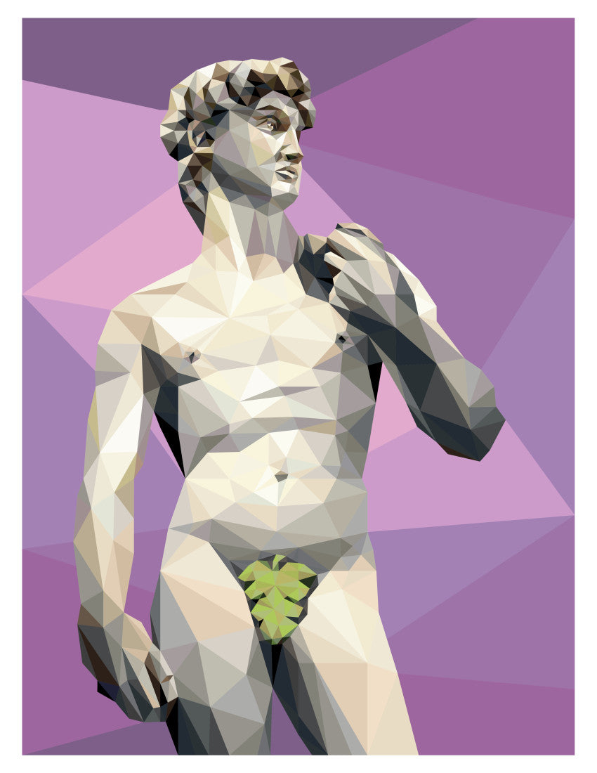 David Front Quilt Kit