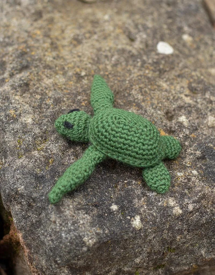 Mini Kat the Turtle Kit