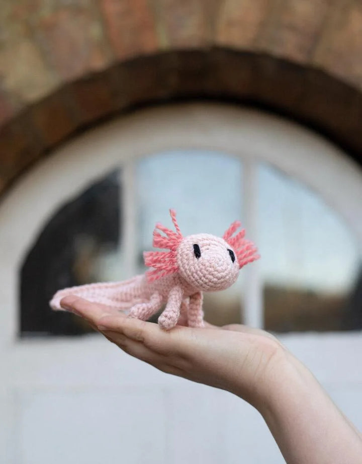 Mini Danielle the Axolotl Kit
