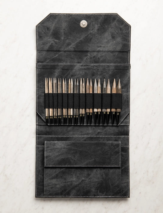 Set of metal tools in a black leather case on a light gray background