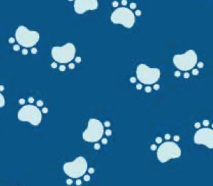 Cooper Blue Pawsome- C11404-BLUE