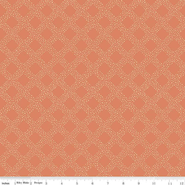 Harmony - Salmon - C11095-Salmon