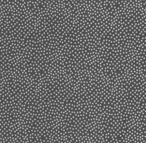 Garden Pindot - Graphite - CX1065-GRPh