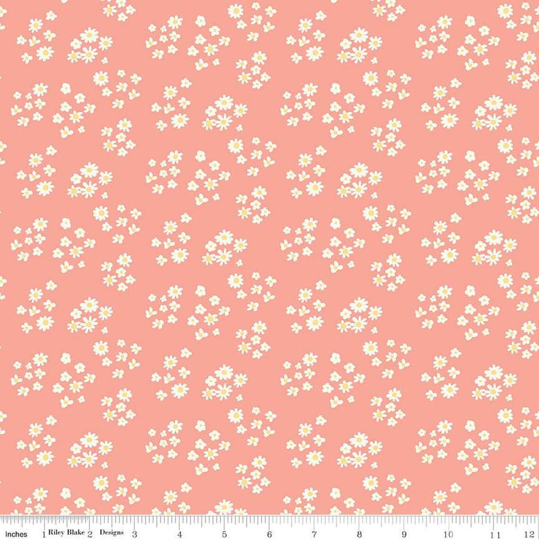 Hello Spring Daisies Coral- C12962-CORAL