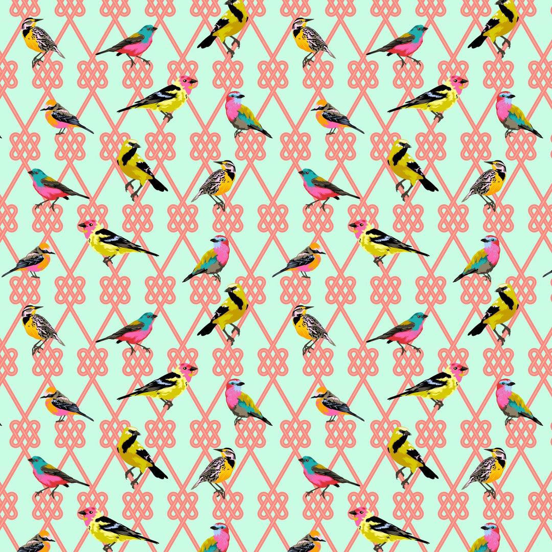 In a Finch- Dawn- PWTP198.DAWN