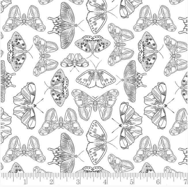 Porching Lights- PH0152- Phoebe Fabrics