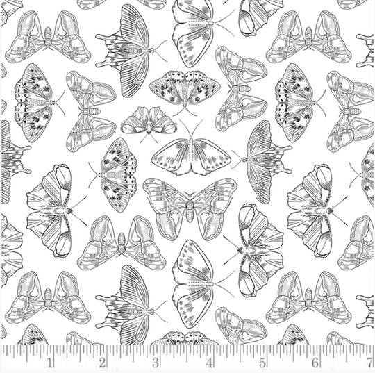 Porching Lights PH0152 Phoebe Fabrics The Sewing House, Inc