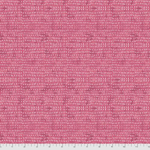 Seeds- Carnation - PWCD012.XCARNATION
