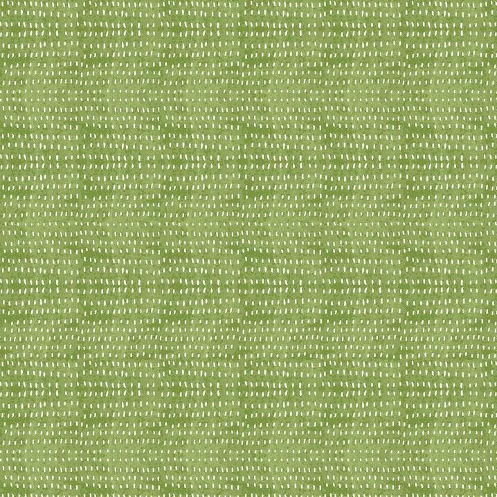 Seeds - Fern - PWCD012.XFERN