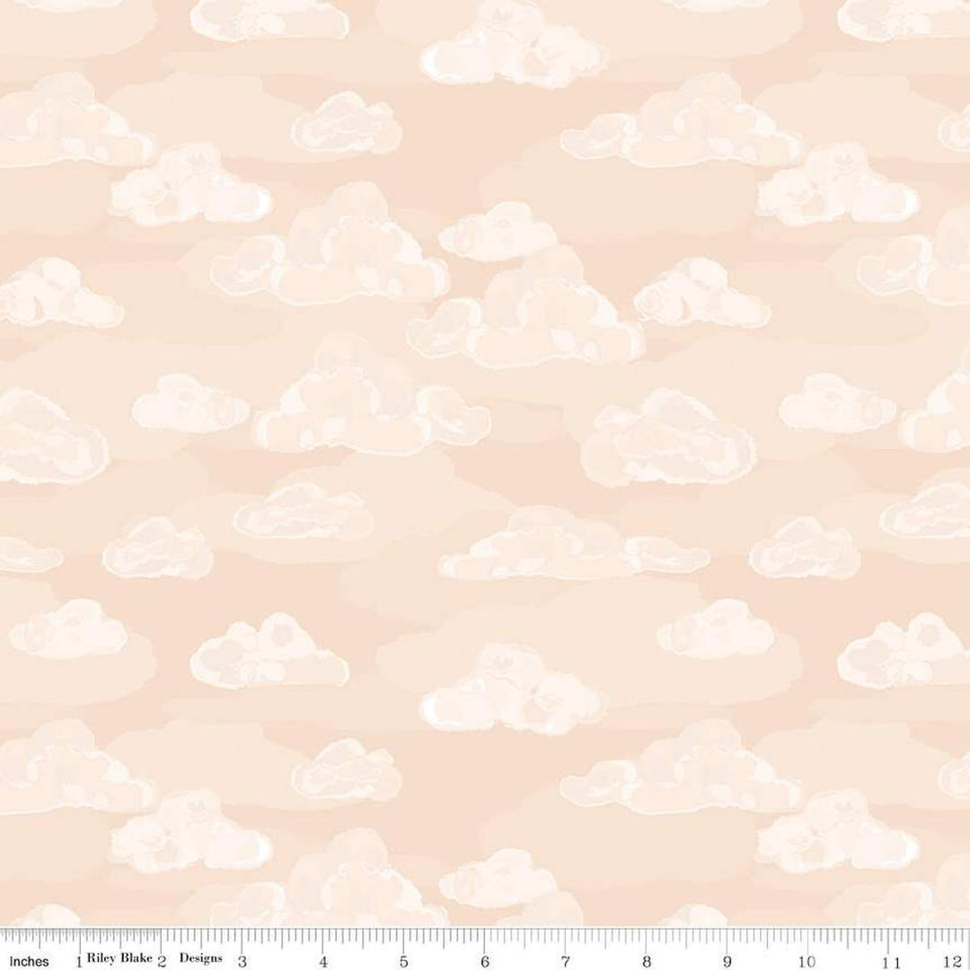 Wild and Free Clouds Peach- C12934-PEACH
