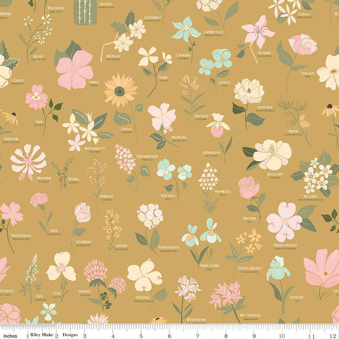 Wild and Free Main Gold- C12930-GOLD